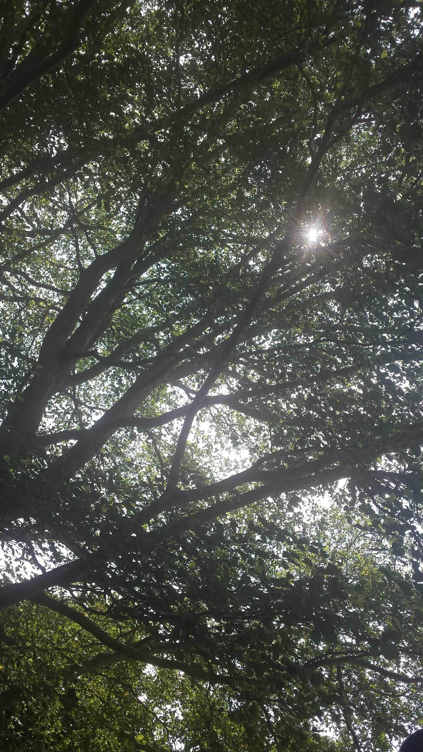 20180708_114006
