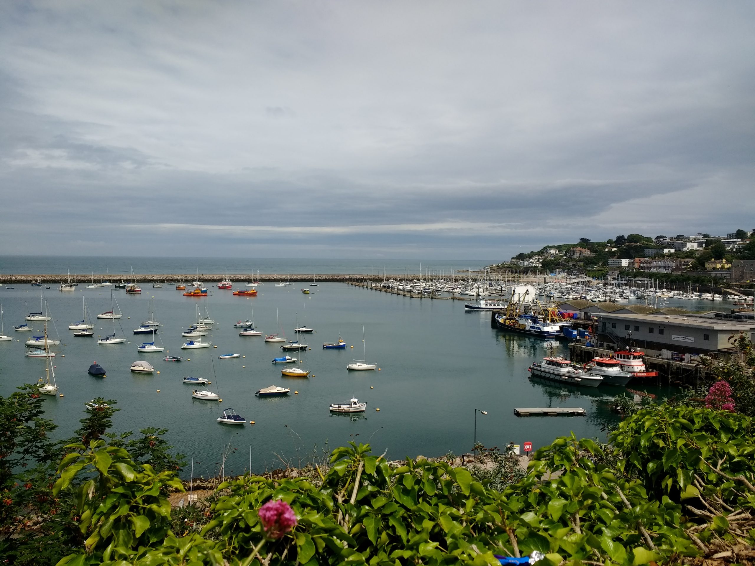IMG_20190604_144756399