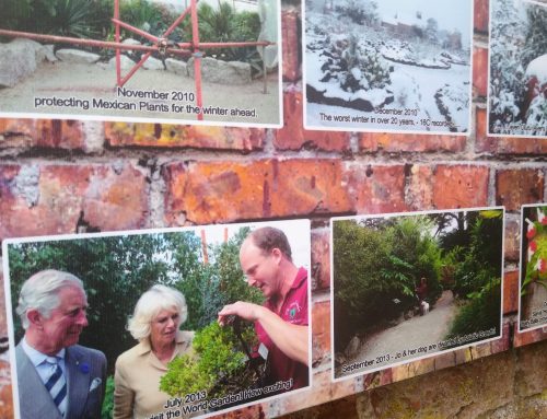 Lullingstone castleのパッチワークキルトfastival&夏休みオススメDayout/後編