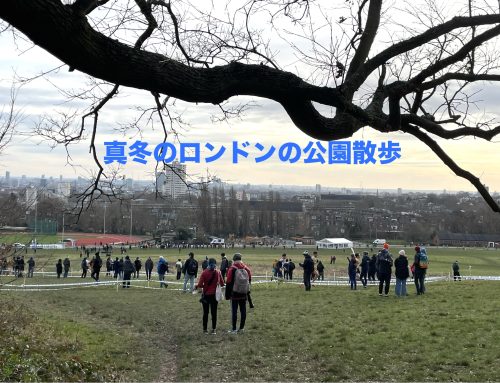 真冬のロンドンの公園で散歩