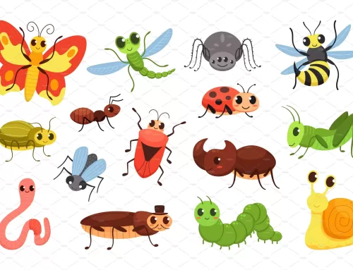 昆虫、Bugs、Insects