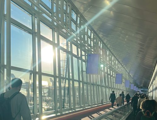 ✈️ １年あっという間に…