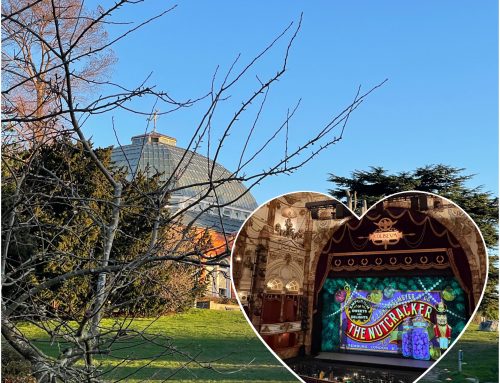 パークランとバレエ🩰鑑賞in London