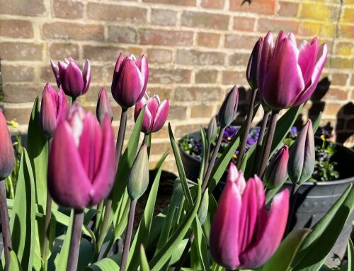 イースターホリデー始まる！