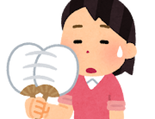 暑い日に食べたいものは・・・