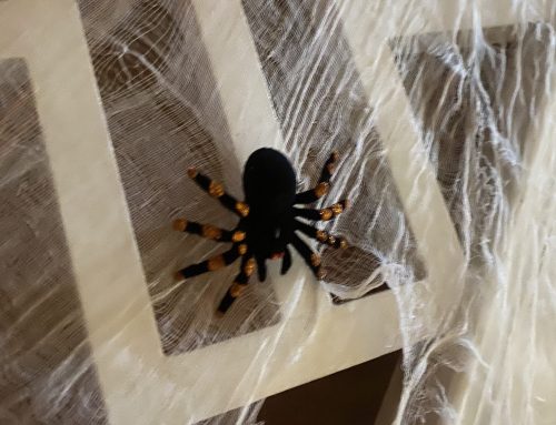 ケルト人の本気のハロウィン